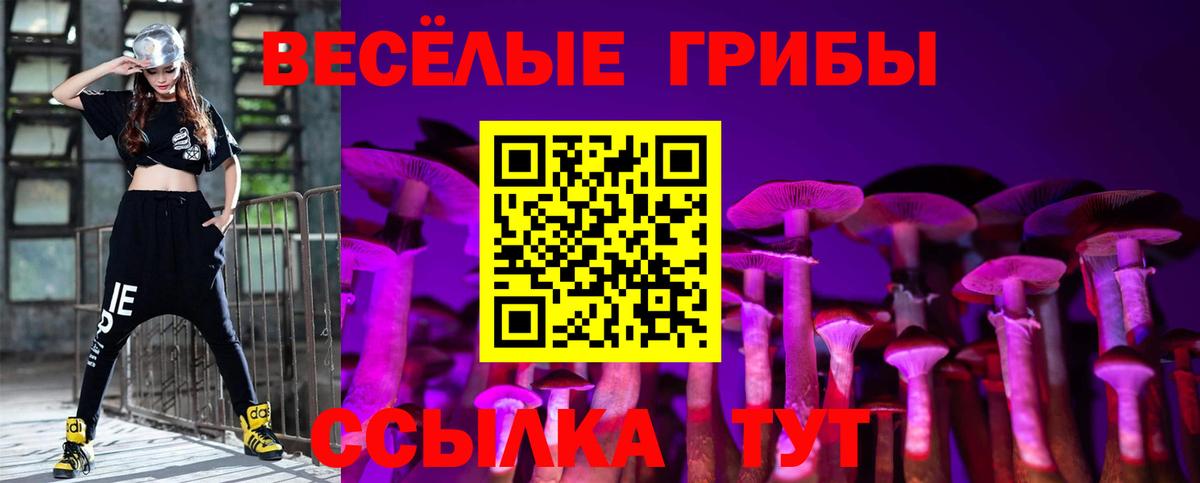 Псилоцибиновые грибы Psilocybe Камышин