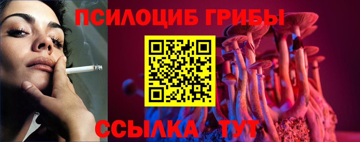 Псилоцибиновые грибы Magic Shrooms  Псилоцибиновые грибы ЛСД  Вход с VPN  Камышин 